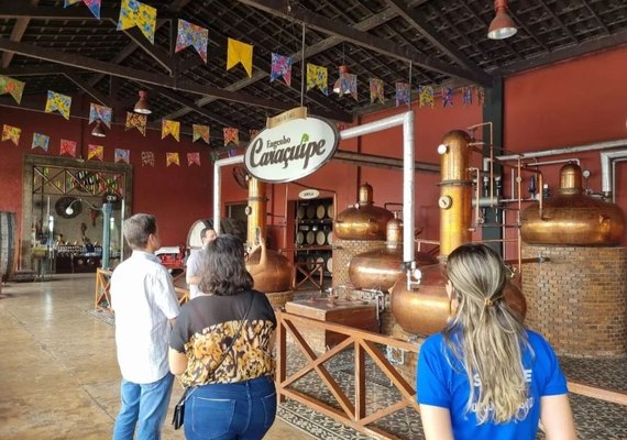 Rota da Cachaça movimenta Agreste alagoano; veja a programação