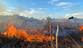 Terrenos baldios concentram mais de 60% dos incêndios registrados em Alagoas em 2024