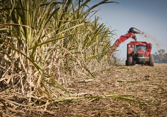 Usinas de Alagoas ultrapassam expectativa de moagem