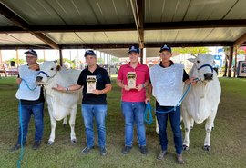 Raça Nelore se destaca na pista de julgamento da 72ª Expoagro Alagoas