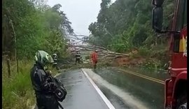 Deslizamento de barreira e queda de árvores interditam rodovia AL-101