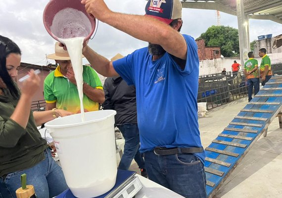 Torneio Leiteiro Caprinos consagra produtividade da agricultura familiar