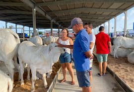 72ª Expoagro Alagoas encanta público com as novidades desta edição