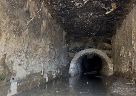 Ilha do Ferro sofre com despejo de esgoto sem tratamento no Rio São Francisco