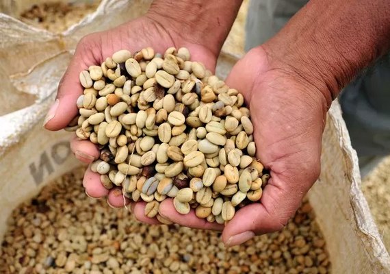 Tarifas de Trump devem encarecer café, carne e outros produtos brasileiros nos EUA