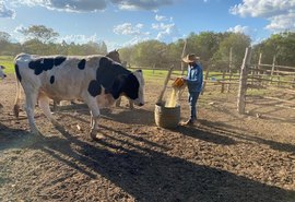 Governo entregará títulos de propriedade rural em diversos estados do país; saiba mais