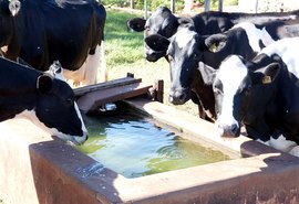 Boas Práticas Hídricas: Programa economiza água na produção de leite