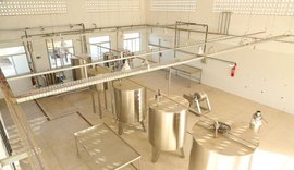 Governo do Estado vai incentivar cooperativa para o beneficiamento de leite