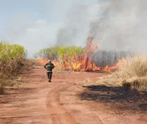 Usina Santa Clotilde promove evento sobre prevenção e combate a incêndios criminosos em canaviais