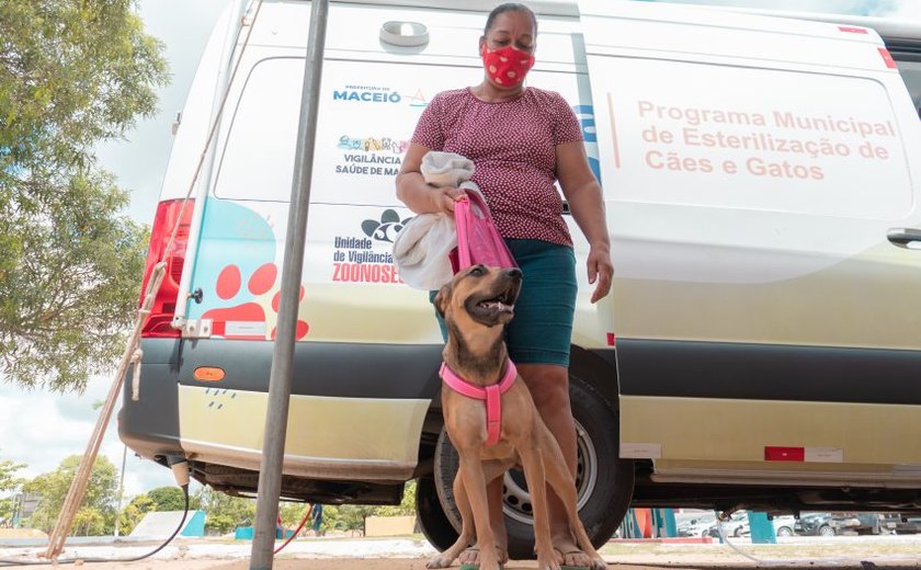 Gabinete da Causa Animal levará 'Castramóvel' nesta terça (15) para Ipioca