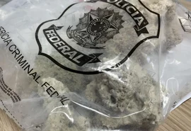 PF intercepta transporte ilegal de corais no aeroporto de Maceió