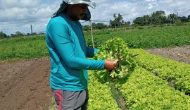 Seagri e Emater fazem mutirão para incluir agricultores no Cadastro Nacional da Agricultura Familiar