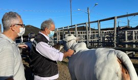 Abertura da segunda etapa da campanha de vacinação contra aftosa é realizada na Expoagro