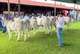 Pista de julgamento da Expoalagoas Genética destaca funcionalidade das raças