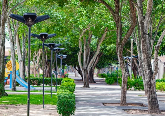 Consulta pública define diretrizes para arborização urbana em Alagoas