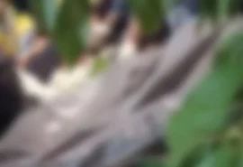 Motociclista por app morre após colisão com caminhonete em Maceió