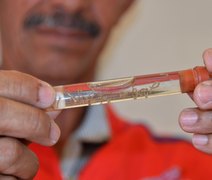 Sesau volta a alertar alagoanos sobre medidas de prevenção contra a dengue