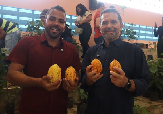 Cultura do cacau avança em Alagoas com criação da primeira cooperativa estadual do setor