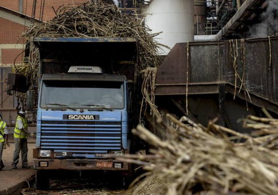 Safra 19/20 segue com 16,8 mi de toneladas de cana processadas