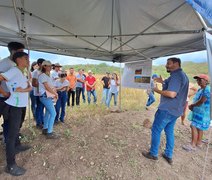 Cooperativa da agricultura familiar resgata cultura do Algodão em parceria com a Embrapa