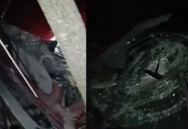 Motorista perde o controle do carro e bate em àrvore na BR-316, Sertão de Alagoas