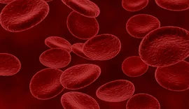 Câncer no sangue pode ser descoberto em exames de rotina