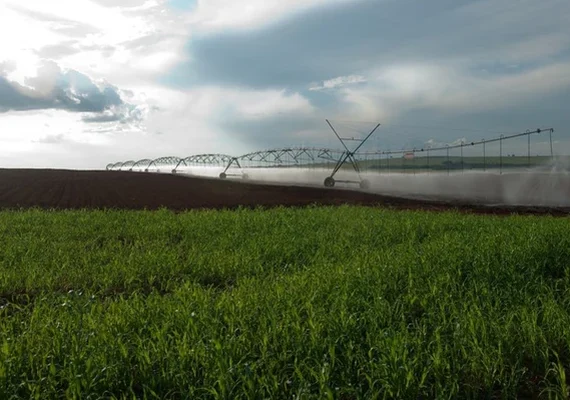 BNDES libera R$ 3 bi para cooperativas do setor agropecuário