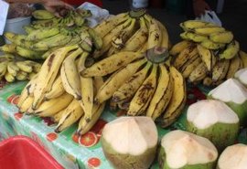 Feira Orgânica da Semarh retorna à Ponta Verde neste domingo (10)