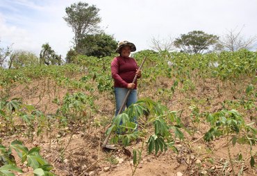 Mais de 20 mil agricultores alagoanos receberão Garantia-Safra em março