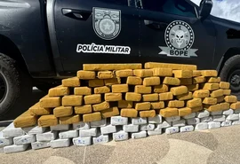 Bope apreende 97kg de maconha em carreta na divisa de AL com Sergipe