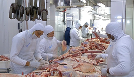 Mercado de carnes no Nordeste busca profissionalização