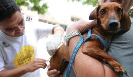 Veja os locais da 1ª etapa da vacina contra a raiva neste sábado em Maceió