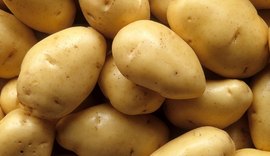 Preço da batata tem alta de 23,94%