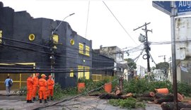 Árvore tomba na Rua das Árvores interditando via e deixando a região sem energia