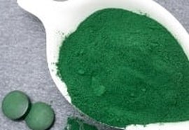 Agricultura marinha pode chegar nas mesas da Europa
