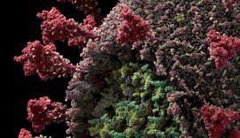 Alagoas registra mais de 90 mil casos do novo coronavírus