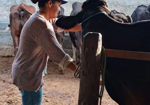 Agricultura familiar ajuda a aumentar produção leiteira no Nordeste