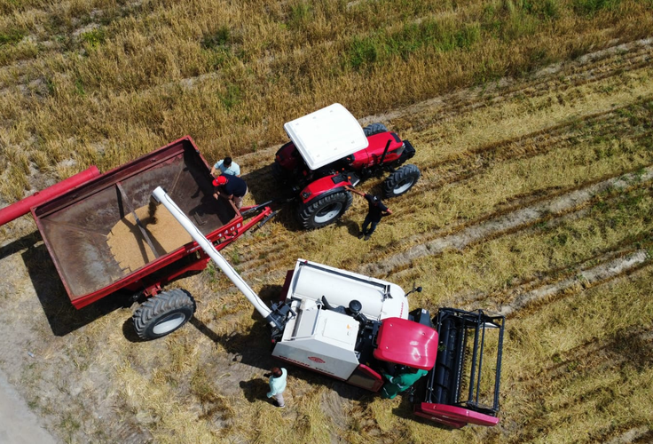 Agro bate recorde de empregos no 3º trimestre de 2025