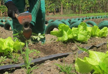 Fazenda propõe até dez anos para renegociação do agro