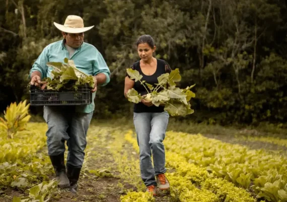 Plano de Sucessão é alternativa estratégica para sustentabilidade de fazendas familiares