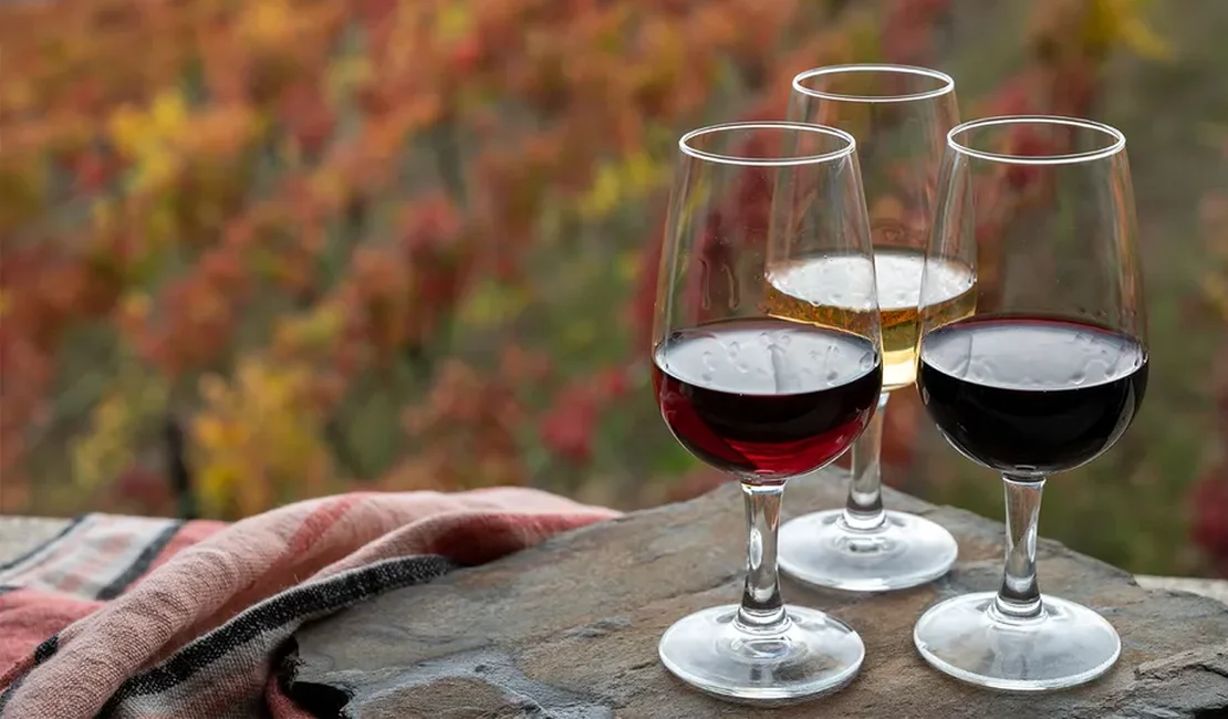 Quer aprender sobre vinho? Bebida é tema de curso online e gratuito