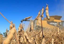 Soja fecha ano de 2021 em queda, diz consultoria agroenonômica