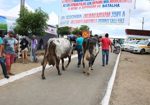 38ª Expo Bacia Leiteira vai apresentar resultados técnicos do setor