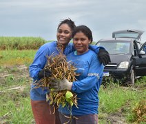 Agricultura familiar cresce em Coruripe e entra em novo ciclo de desenvolvimento no campo