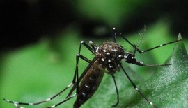 Cuiabá descarta surto de dengue durante a Copa do Mundo