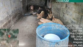 Pocilga é interditada após fiscalização integrada em Maceió