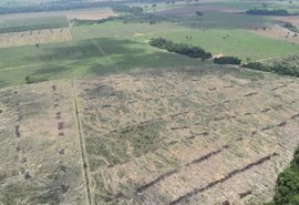 BNDES vai cortar financiamento de produtor rural flagrado desmatando irregularmente