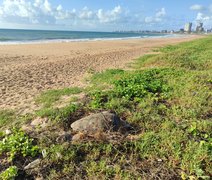 Entidades denunciam ao MPF crime ambiental e alteração no curso do Rio Jacarecica, em Maceió