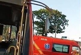 Mulher morre após ser atropelada por ônibus na Avenida da Paz