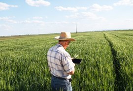 Oportunidades no agro pagam até R$ 25 mil para gerente de fazenda